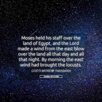 Picture 05 - Exodus 10:13 GW - Moses held his staff over the land of Egypt, and - Bible Verse Picture
