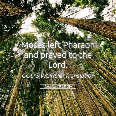 Picture 05 - Exodus 10:18 GW - Moses left Pharaoh and prayed to the - Bible Verse Picture