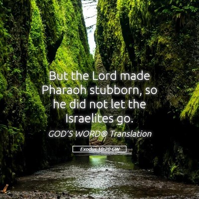 Picture 05 - Exodus 10:20 GW - But the Lord made Pharaoh stubborn, so he did not - Bible Verse Picture