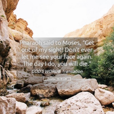 Picture 05 - Exodus 10:28 GW - Pharaoh said to Moses, “Get out of my sight! - Bible Verse Picture