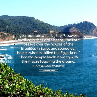Picture 05 - Exodus 12:27 GW - you must answer, ‘It’s the Passover sacrifice - Bible Verse Picture