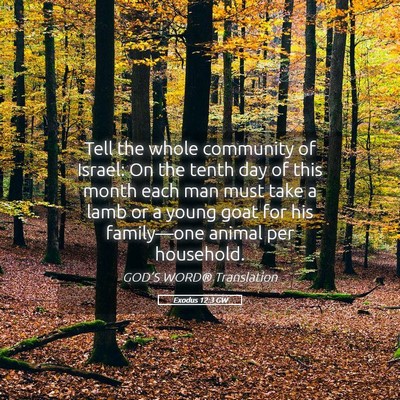 Picture 05 - Exodus 12:3 GW - Tell the whole community of Israel: On the tenth - Bible Verse Picture