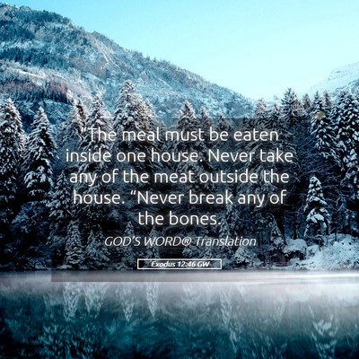 Picture 05 - Exodus 12:46 GW - “The meal must be eaten inside one house. Never - Bible Verse Picture