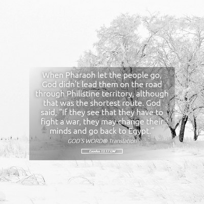 Picture 05 - Exodus 13:17 GW - When Pharaoh let the people go, God didn’t lead - Bible Verse Picture