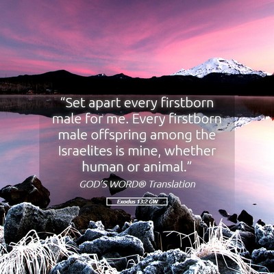 Picture 05 - Exodus 13:2 GW - “Set apart every firstborn male for me. Every - Bible Verse Picture