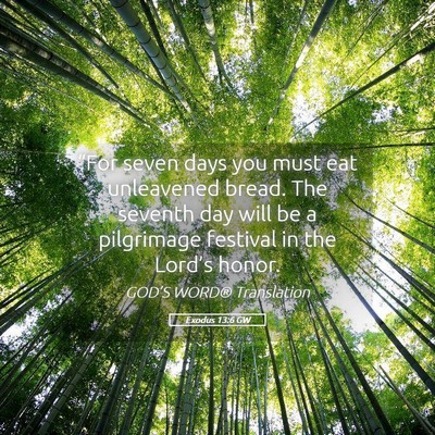 Picture 05 - Exodus 13:6 GW - “For seven days you must eat unleavened bread. - Bible Verse Picture