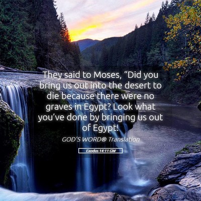 Picture 05 - Exodus 14:11 GW - They said to Moses, “Did you bring us out into - Bible Verse Picture
