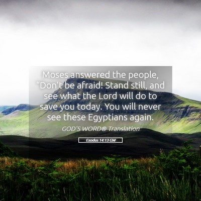 Picture 05 - Exodus 14:13 GW - Moses answered the people, “Don’t be afraid! - Bible Verse Picture