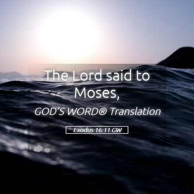 Picture 05 - Exodus 16:11 GW - The Lord said to - Bible Verse Picture
