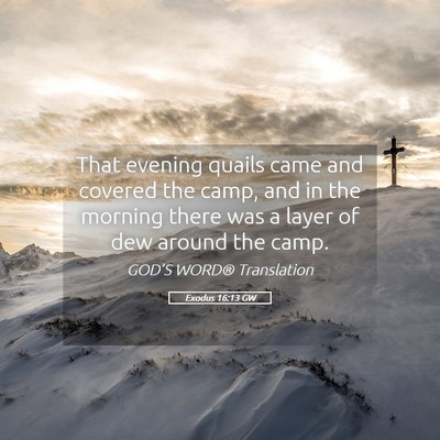 Picture 05 - Exodus 16:13 GW - That evening quails came and covered the camp, - Bible Verse Picture