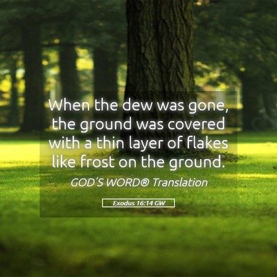 Picture 05 - Exodus 16:14 GW - When the dew was gone, the ground was covered - Bible Verse Picture