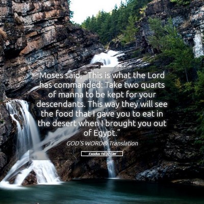 Picture 05 - Exodus 16:32 GW - Moses said, “This is what the Lord has - Bible Verse Picture