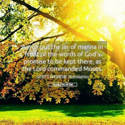 Picture 05 - Exodus 16:34 GW - Aaron put the jar of manna in front of the words - Bible Verse Picture