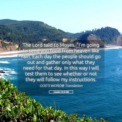 Picture 05 - Exodus 16:4 GW - The Lord said to Moses, “I’m going to send - Bible Verse Picture