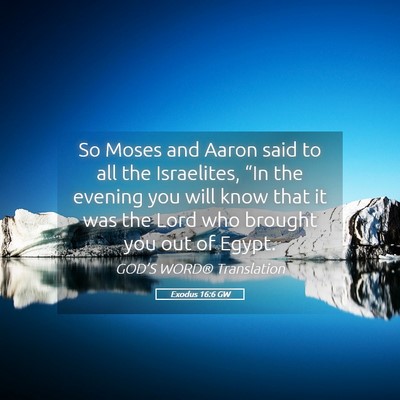 Picture 05 - Exodus 16:6 GW - So Moses and Aaron said to all the Israelites, - Bible Verse Picture