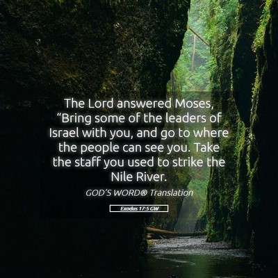 Picture 05 - Exodus 17:5 GW - The Lord answered Moses, “Bring some of the - Bible Verse Picture