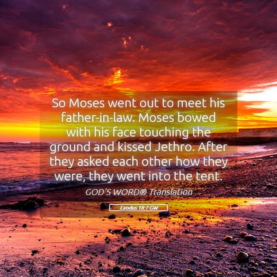 Picture 05 - Exodus 18:7 GW - So Moses went out to meet his father-in-law. - Bible Verse Picture