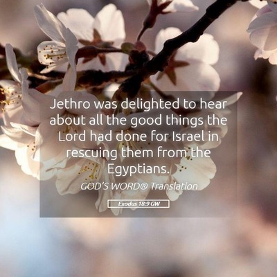 Picture 05 - Exodus 18:9 GW - Jethro was delighted to hear about all the good - Bible Verse Picture
