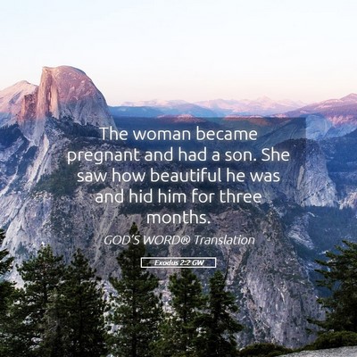 Picture 05 - Exodus 2:2 GW - The woman became pregnant and had a son. She saw - Bible Verse Picture