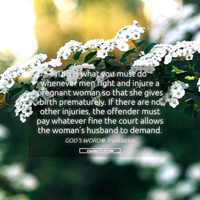 Picture 05 - Exodus 21:22 GW - “This is what you must do whenever men fight - Bible Verse Picture
