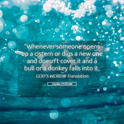 Picture 05 - Exodus 21:33 GW - “Whenever someone opens up a cistern or digs a - Bible Verse Picture