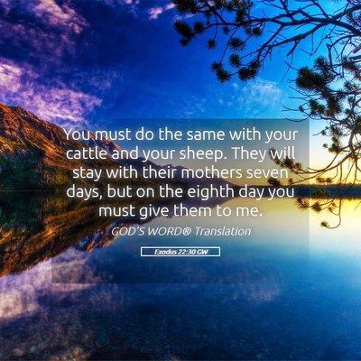 Picture 05 - Exodus 22:30 GW - You must do the same with your cattle and your - Bible Verse Picture