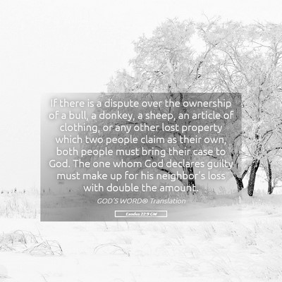 Picture 05 - Exodus 22:9 GW - If there is a dispute over the ownership of a - Bible Verse Picture