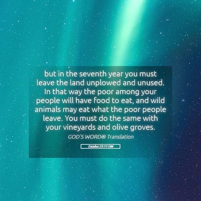 Picture 05 - Exodus 23:11 GW - but in the seventh year you must leave the land - Bible Verse Picture