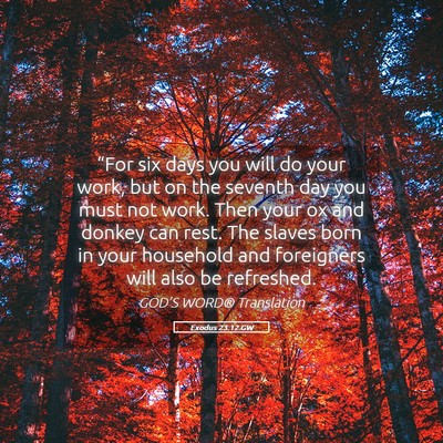 Picture 05 - Exodus 23:12 GW - “For six days you will do your work, but on the - Bible Verse Picture