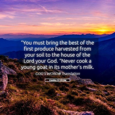 Picture 05 - Exodus 23:19 GW - “You must bring the best of the first produce - Bible Verse Picture