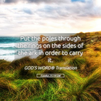 Picture 05 - Exodus 25:14 GW - Put the poles through the rings on the sides of - Bible Verse Picture
