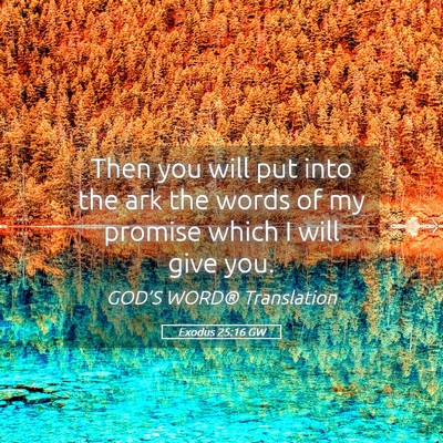 Picture 05 - Exodus 25:16 GW - Then you will put into the ark the words of my - Bible Verse Picture