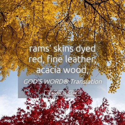 Picture 05 - Exodus 25:5 GW - rams’ skins dyed red, fine leather, acacia - Bible Verse Picture