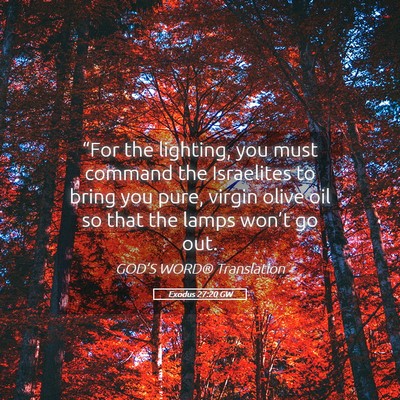 Picture 05 - Exodus 27:20 GW - “For the lighting, you must command the - Bible Verse Picture