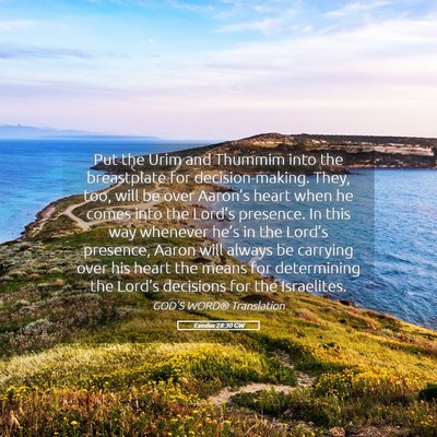 Picture 05 - Exodus 28:30 GW - Put the Urim and Thummim into the breastplate for - Bible Verse Picture