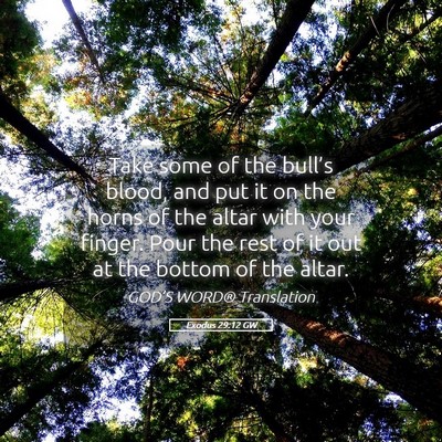 Picture 05 - Exodus 29:12 GW - Take some of the bull’s blood, and put it on - Bible Verse Picture