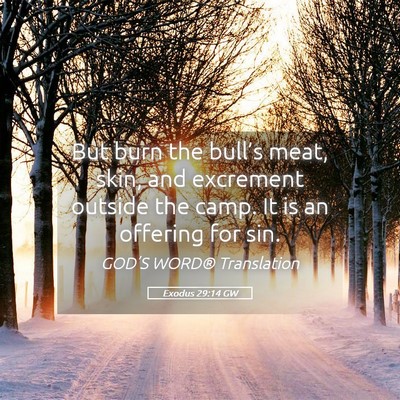 Picture 05 - Exodus 29:14 GW - But burn the bull’s meat, skin, and excrement - Bible Verse Picture