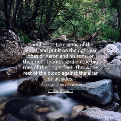 Picture 05 - Exodus 29:20 GW - Slaughter it, take some of the blood, and put it - Bible Verse Picture