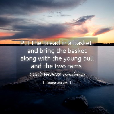 Picture 05 - Exodus 29:3 GW - Put the bread in a basket, and bring the basket - Bible Verse Picture