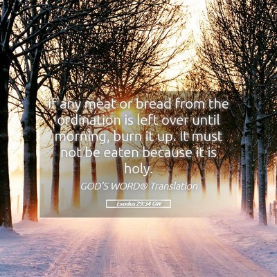 Picture 05 - Exodus 29:34 GW - If any meat or bread from the ordination is left - Bible Verse Picture