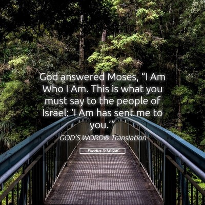 Picture 05 - Exodus 3:14 GW - God answered Moses, “I Am Who I Am. This is - Bible Verse Picture