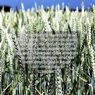 Picture 05 - Exodus 3:16 GW - “Go, assemble the leaders of Israel. Say to - Bible Verse Picture