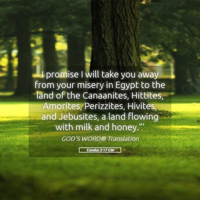 Picture 05 - Exodus 3:17 GW - I promise I will take you away from your misery - Bible Verse Picture