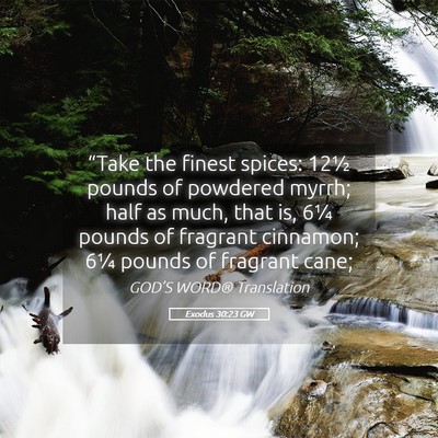 Picture 05 - Exodus 30:23 GW - “Take the finest spices: 12½ pounds of - Bible Verse Picture