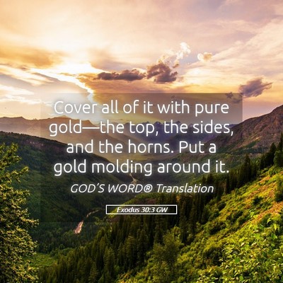 Picture 05 - Exodus 30:3 GW - Cover all of it with pure gold—the top, the - Bible Verse Picture