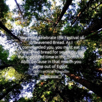 Picture 05 - Exodus 34:18 GW - “You must celebrate the Festival of Unleavened - Bible Verse Picture