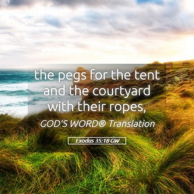 Picture 05 - Exodus 35:18 GW - the pegs for the tent and the courtyard with - Bible Verse Picture