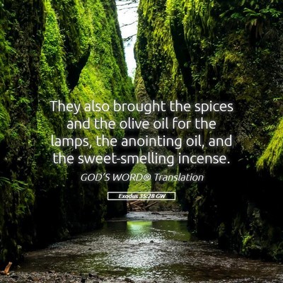 Picture 05 - Exodus 35:28 GW - They also brought the spices and the olive oil - Bible Verse Picture