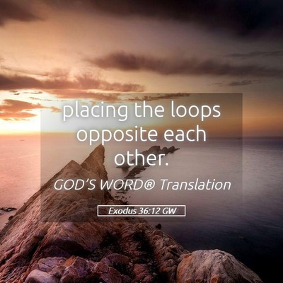 Picture 05 - Exodus 36:12 GW - placing the loops opposite each - Bible Verse Picture
