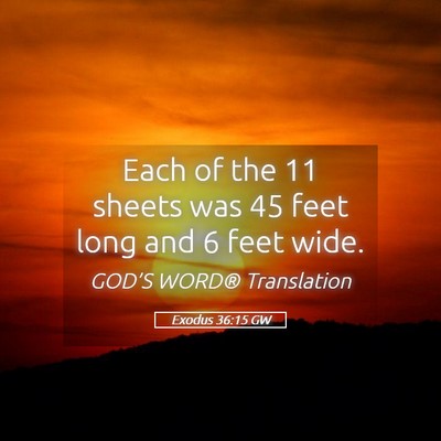 Picture 05 - Exodus 36:15 GW - Each of the 11 sheets was 45 feet long and 6 feet - Bible Verse Picture